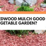 redwood mulch for vegetable garden