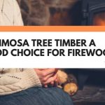 is mimosa tree good for firewood