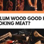 Is Plum Wood Good For Smoking Meat?