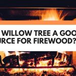 is a willow tree good for firewood