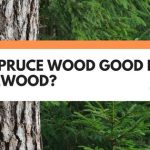 is spruce good for firewood