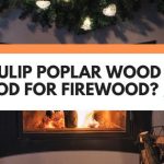 is tulip poplar good for firewood