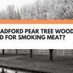 is bradford pear wood good for smoking
