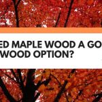 is red maple good firewood