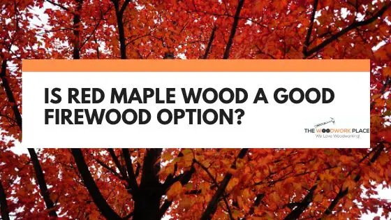 is red maple good firewood