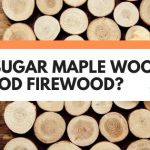 is sugar maple good firewood