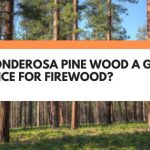 is ponderosa pine good firewood