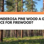 is ponderosa pine good firewood