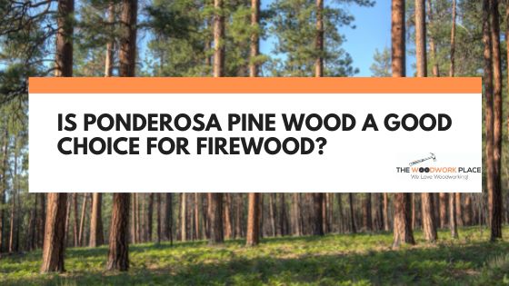 is ponderosa pine good firewood