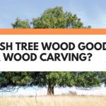 is ash good for carving