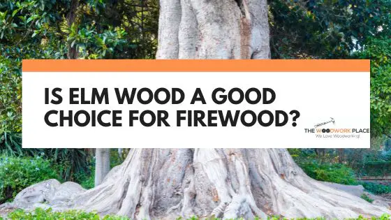 is elm good for firewood