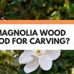 is magnolia wood good for carving