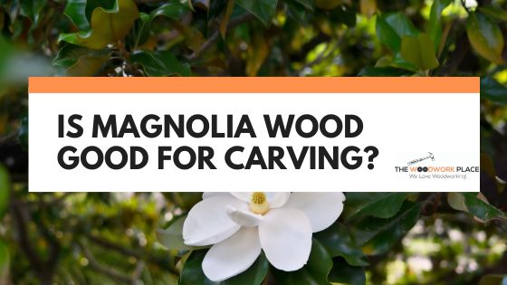 is magnolia wood good for carving