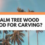 is palm tree wood good for carving