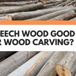 is beech wood good for carving