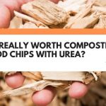 Is It Really Worth Composting Wood Chips With Urea?