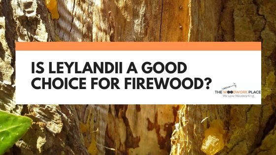 is leylandii good for firewood