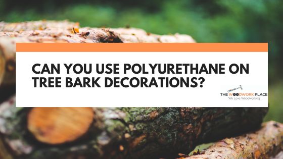Can You Use Polyurethane On Tree Bark Decorations can-you-use-polyurethane-on-tree-bark-decorations