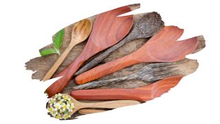 non toxic wood for spoons 