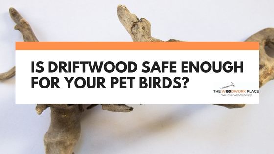 is driftwood safe for birds