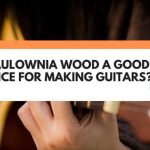 Is Paulownia Wood A Good Choice For Making Guitars?
