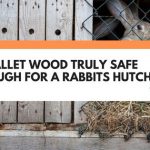 is pallet wood safe for rabbits