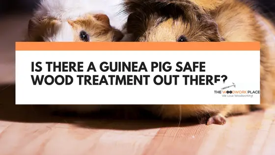 guinea pig safe wood treatment