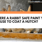 Is There A Rabbit Safe Paint You Can Use To Coat A Hutch?