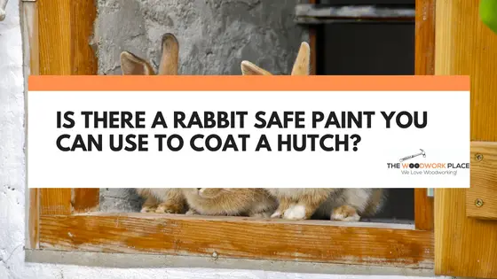 rabbit safe paint