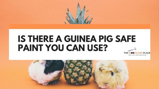 guinea pig safe paint