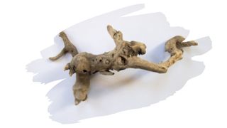 is driftwood safe for birds