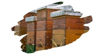 natural beehive finish