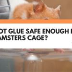 Is Hot Glue Safe Enough For A Hamsters Cage?