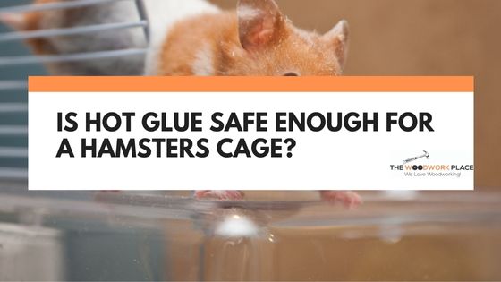 is hot glue safe for hamsters