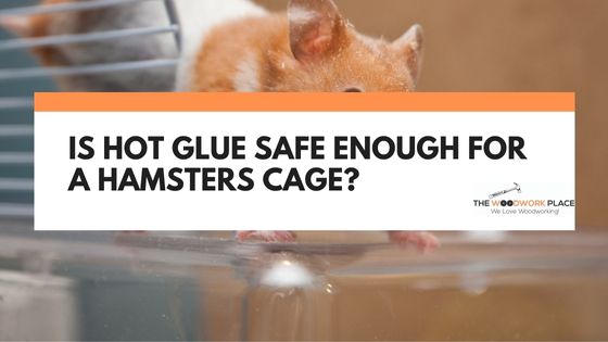 Photo inspiration: Fresh Look at Is Hot Glue Safe Enough For A Hamsters Cage