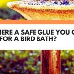 safe glue for bird bath