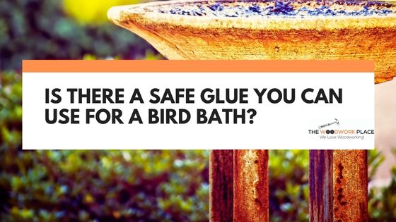 safe glue for bird bath