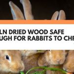 is kiln dried wood safe for rabbits