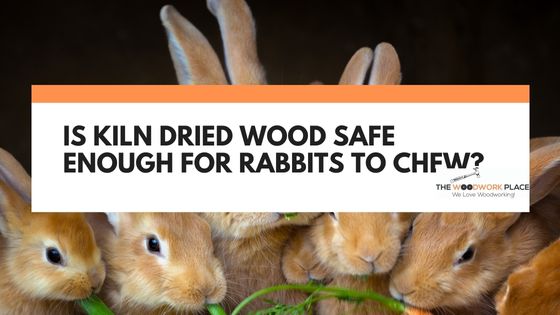 is kiln dried wood safe for rabbits