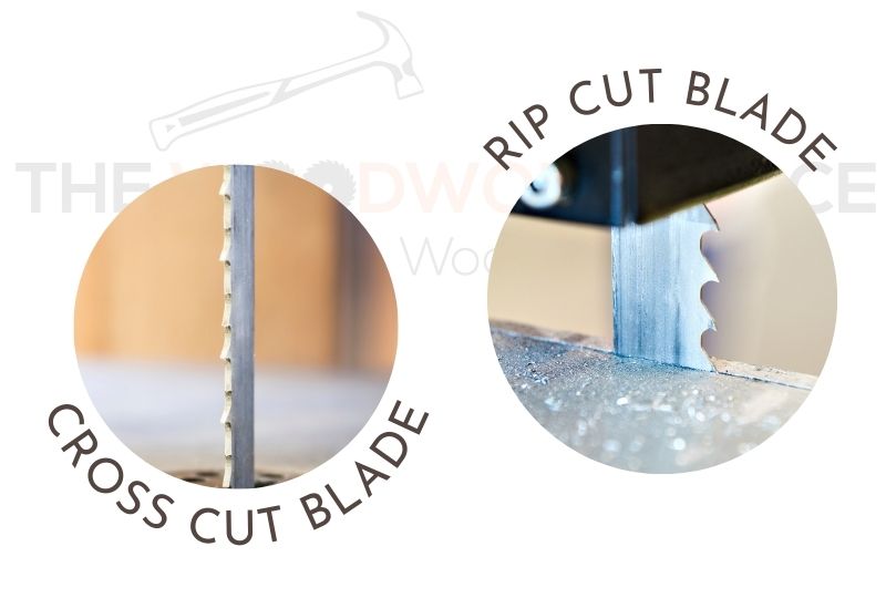 IMAGE OF CROSS CUT BLADE VS RIP SAW BLADE