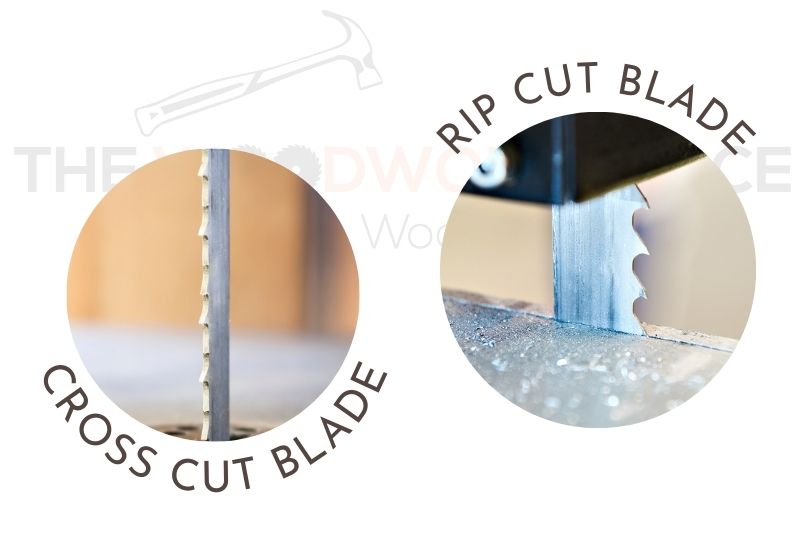 IMAGE OF CROSS CUT BLADE VS RIP SAW BLADE 