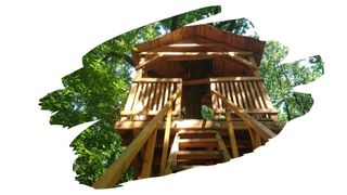 pressure treated wood for treehouse