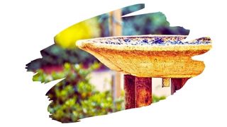 https://www.canva.com/photos/MAED-qsxDqM-bird-bath/