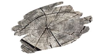 will epoxy stop wood from splitting