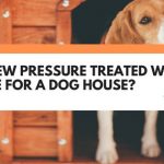 is new pressure treated wood safe for dogs