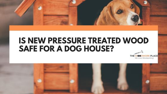 is new pressure treated wood safe for dogs