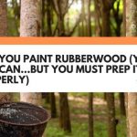 can you paint rubberwood