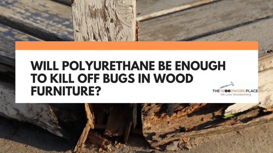 will polyurethane kill bugs in wood