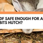 is mdf safe for rabbits