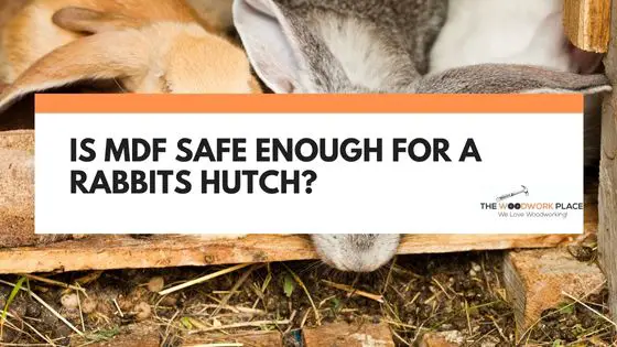 is mdf safe for rabbits